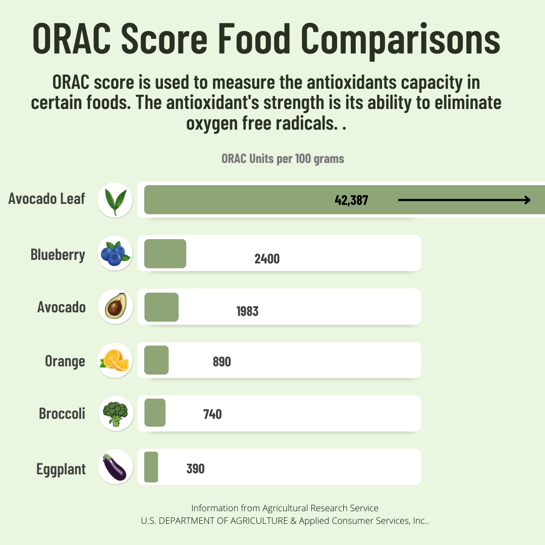 2 Pack Avocado Leaf Tea Black Tea Blend by Avocado Tea Co.